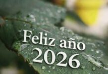 Las redacciones de nuestros medios felicitan el Año Nuevo a sus lectores