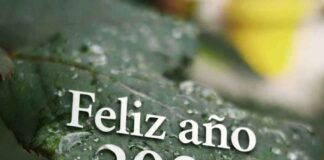 Las redacciones de nuestros medios felicitan el Año Nuevo a sus lectores