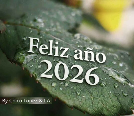 Las redacciones de nuestros medios felicitan el Año Nuevo a sus lectores